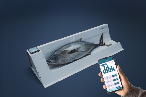 Gwaleen_Kavell_Poisson_ app